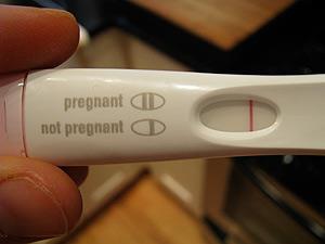 Pregnancy Test