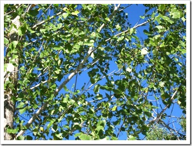 20120909_property_001