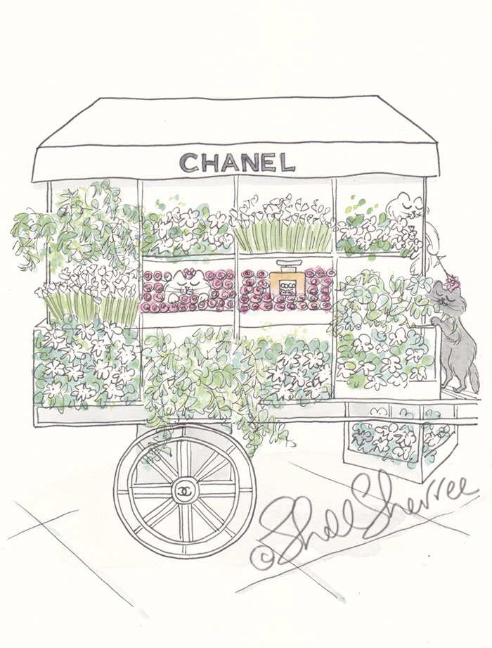 Chanel Flower Cart and Camouflage Cats Paris illustration  © Shell Sherree all rights reserved