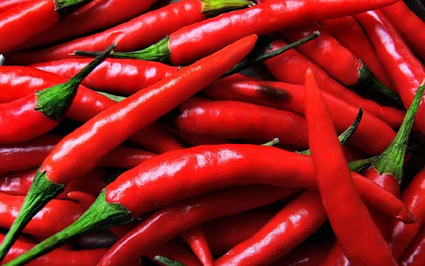 khasiat cabai merah besar obat rematik