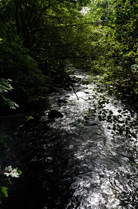 blog__D7K2660_15