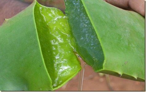como deshacerse de la celulitis naturalmente3