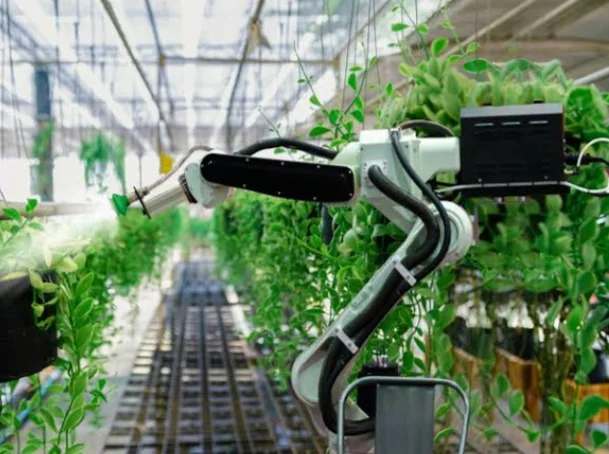 Implementation of AI in Modern Agriculture