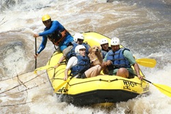 Radicao 10 (416)