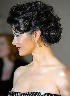 Catherine Zeta Jones Hairstyle Picture Gallery - celebrity Hairstyle Ideas for Girls