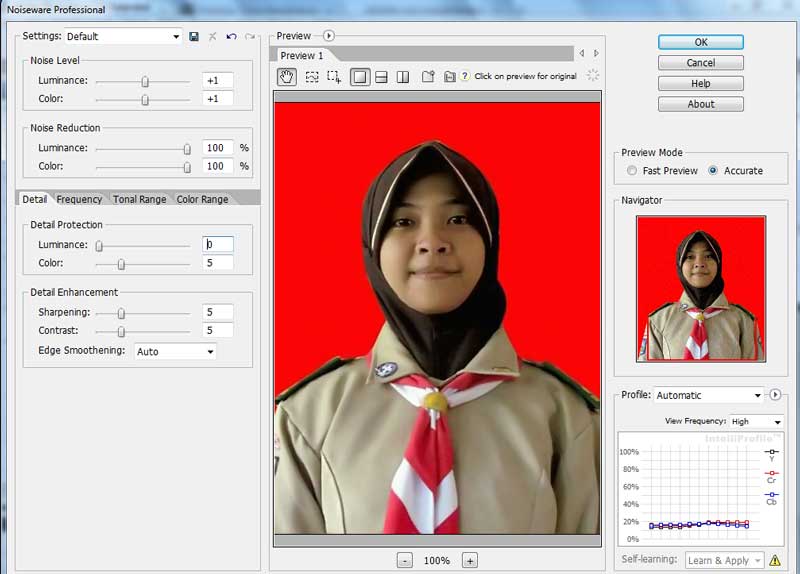 Cara Menghilangkan Noise pada Foto dengan Photoshop 