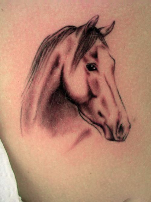 Horse Head Tattoos Standalone head idea.