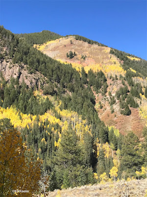 near Aspen Colorado, September