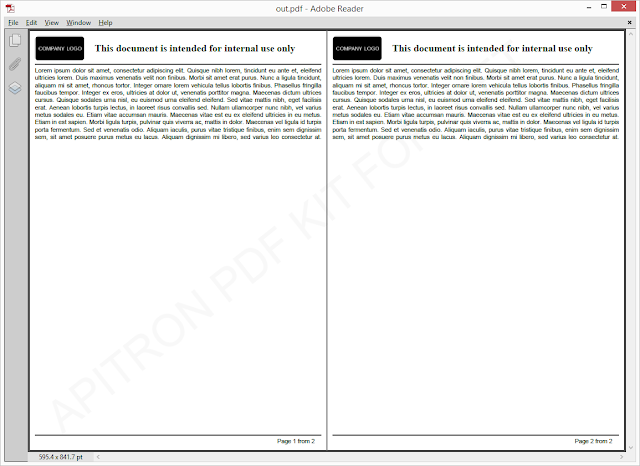 Pic. 1 Resulting PDF document