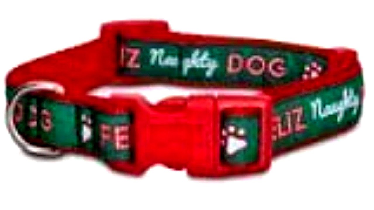 Holiday Pet Collars