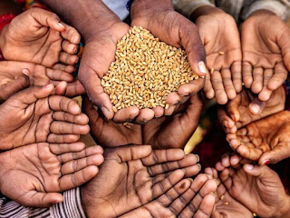 food-grains-essential-for-the-poor-stresses-on-solutions