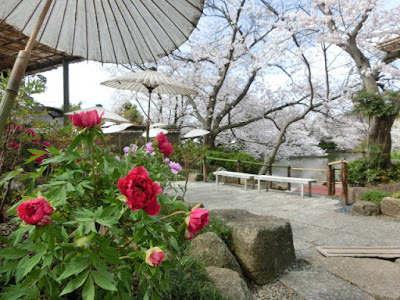  鶴岡八幡具源氏池