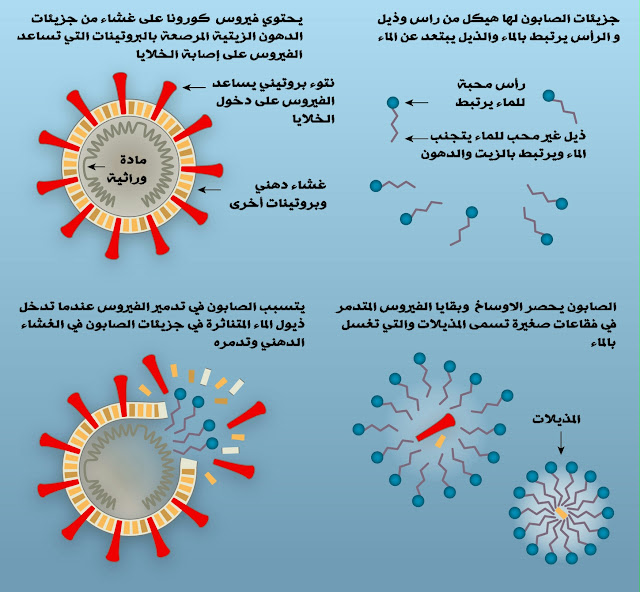 كيف يقتل الصابون فيروس كورونا