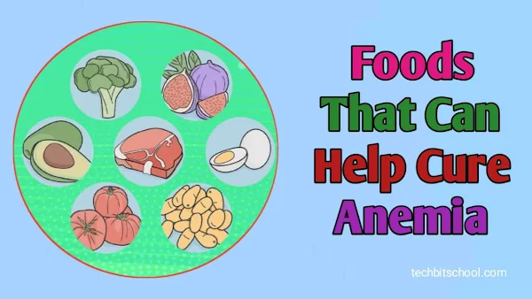 Foods That Can Help Cure Anemia