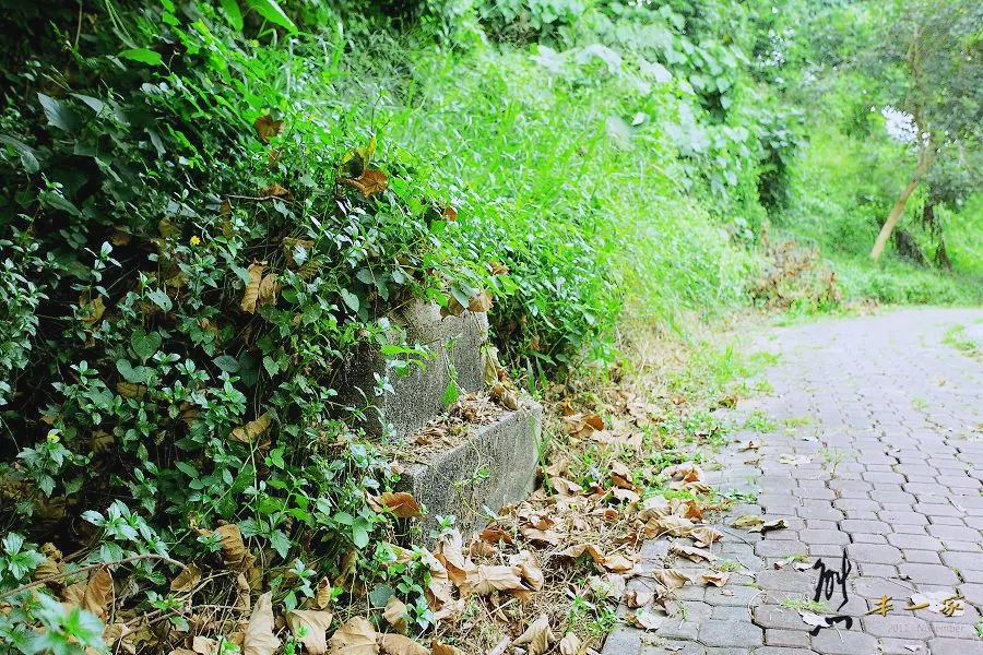 虎頭埤｜台南新化景點古蹟~探尋消失的新化神社遺址