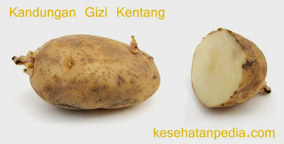 Kandungan Gizi Kentang