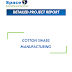 Project Report on Cotton Swabs Manufacturing