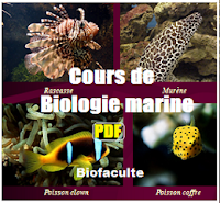 Biologie marine cours 