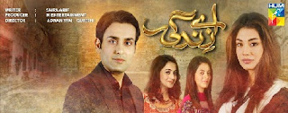 Aye Zindagi Episode 19 on Hum Tv in High Quality 16th July 2015