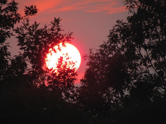 SunsetattheCampground-1-2015-07-13-08-36.jpg