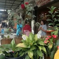 Tarigan Ikhlaskan Emas di Tokonya Dicuri Wanita Berjilbab
