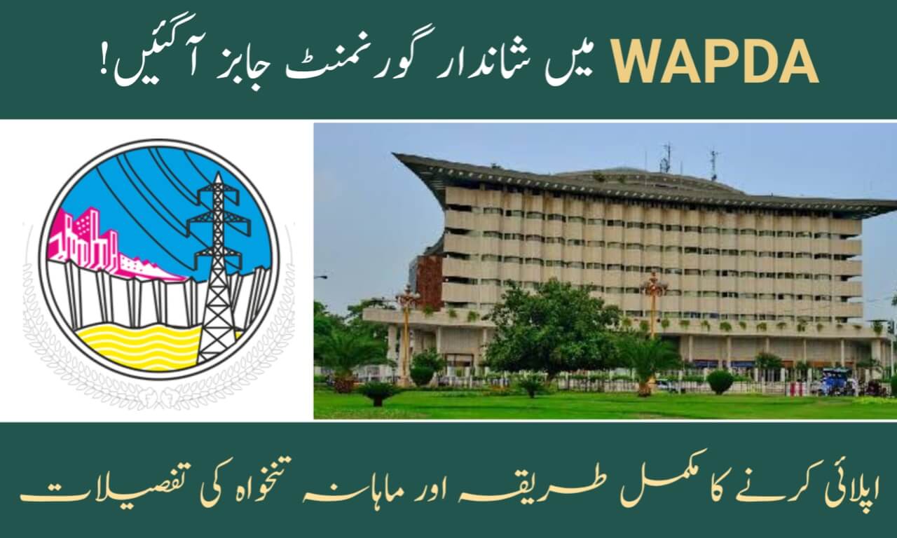Pakistan WAPDA Foundation Jobs 2023 for Vigilance Officers