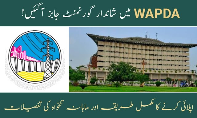 Pakistan WAPDA Foundation Jobs 2023 for Vigilance Officers