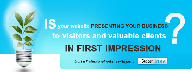 Freelance Website designing services in south Delhi