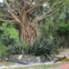 View album