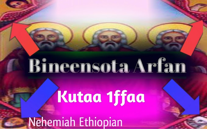 Bineensota Arfan (Arbaetu Ensisa) | Kutaa 1ffaa