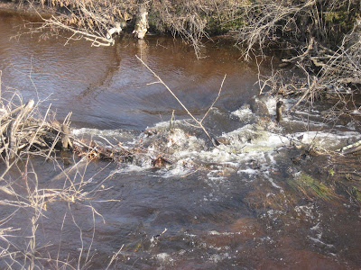 upper beaver dam