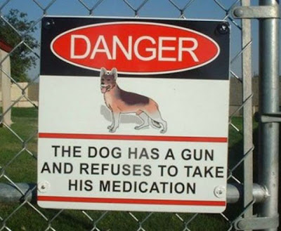 15 Funny and Creative Signs 