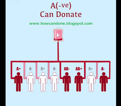 File:Which Blood Group Are Best For Donate Each Other.svg