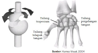  Kita sanggup melaksanakan aneka macam acara menyerupai bangun  Rangka Tubuh Manusia, Sendi, Penyakit dan Cara Memelihara Rangka