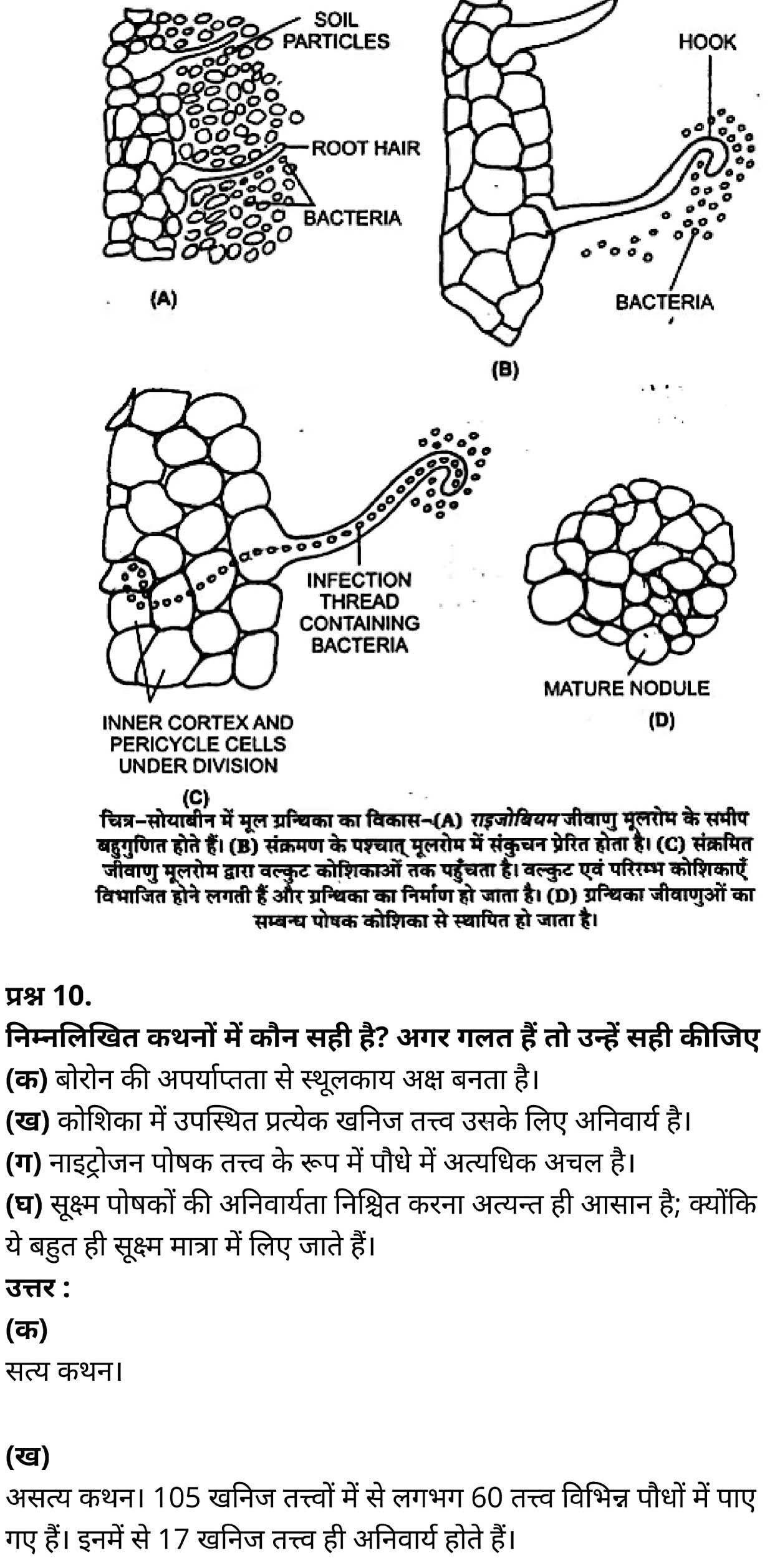 कक्षा 11 जीव विज्ञान अध्याय 12 के नोट्स हिंदी में एनसीईआरटी समाधान,   class 11 Biology Chapter 12,  class 11 Biology Chapter 12 ncert solutions in hindi,  class 11 Biology Chapter 12 notes in hindi,  class 11 Biology Chapter 12 question answer,  class 11 Biology Chapter 12 notes,  11   class Biology Chapter 12 in hindi,  class 11 Biology Chapter 12 in hindi,  class 11 Biology Chapter 12 important questions in hindi,  class 11 Biology notes in hindi,  class 11 Biology Chapter 12 test,  class 11 BiologyChapter 12 pdf,  class 11 Biology Chapter 12 notes pdf,  class 11 Biology Chapter 12 exercise solutions,  class 11 Biology Chapter 12, class 11 Biology Chapter 12 notes study rankers,  class 11 Biology Chapter 12 notes,  class 11 Biology notes,   Biology  class 11  notes pdf,  Biology class 11  notes 2021 ncert,  Biology class 11 pdf,  Biology  book,  Biology quiz class 11  ,   11  th Biology    book up board,  up board 11  th Biology notes,  कक्षा 11 जीव विज्ञान अध्याय 12, कक्षा 11 जीव विज्ञान का अध्याय 12 ncert solution in hindi, कक्षा 11 जीव विज्ञान  के अध्याय 12 के नोट्स हिंदी में, कक्षा 11 का जीव विज्ञान अध्याय 12 का प्रश्न उत्तर, कक्षा 11 जीव विज्ञान अध्याय 12 के नोट्स, 11 कक्षा जीव विज्ञान अध्याय 12 हिंदी में,कक्षा 11 जीव विज्ञान  अध्याय 12 हिंदी में, कक्षा 11 जीव विज्ञान  अध्याय 12 महत्वपूर्ण प्रश्न हिंदी में,कक्षा 11 के जीव विज्ञानके नोट्स हिंदी में,जीव विज्ञान  कक्षा 11 नोट्स pdf,     जीव विज्ञान  कक्षा 11 नोट्स 2021 ncert,  जीव विज्ञान  कक्षा 11 pdf,  जीव विज्ञान  पुस्तक,  जीव विज्ञान की बुक,  जीव विज्ञान  प्रश्नोत्तरी class 11  , 11   वीं जीव विज्ञान  पुस्तक up board,  बिहार बोर्ड 11  पुस्तक वीं जीव विज्ञान नोट्स,