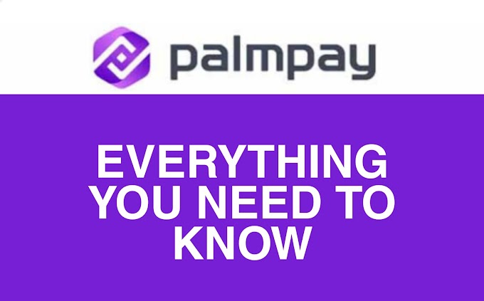 Palmpay: How to Open account, Everything you Need to Know