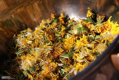 Dandelion syrup pitypangszörp