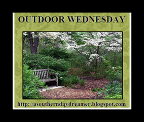 Outdoor-Wednesday-logo_thumb1_thumb1[1]