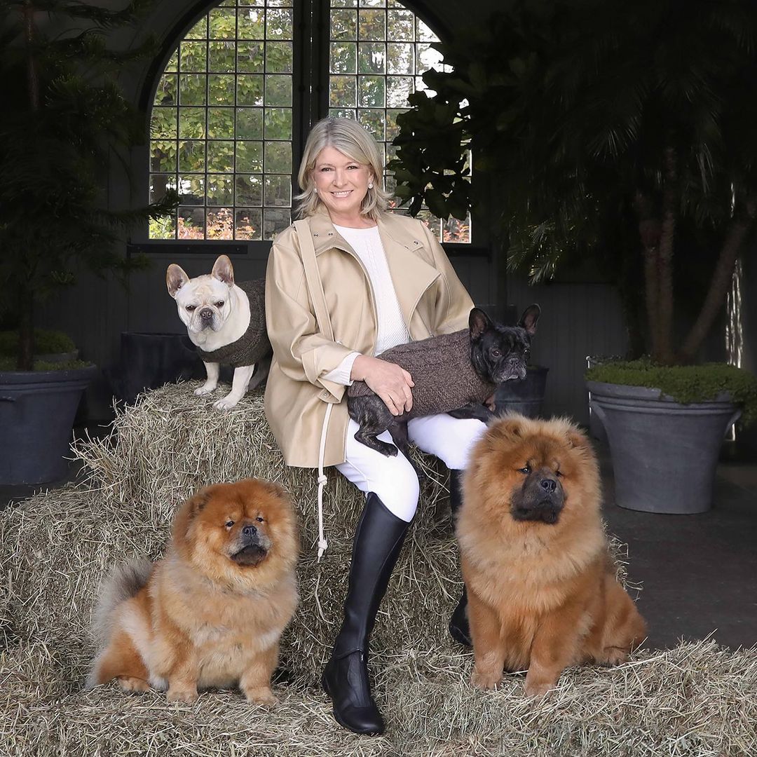 Martha Stewart and her four dogs