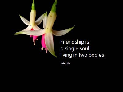 Friendship Day Quote