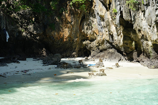 Monkey Beach or Monkey Bay