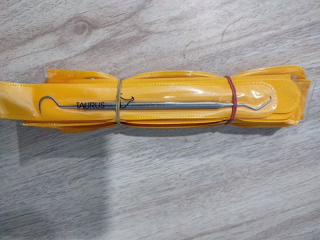 Explorer Dental Instrument