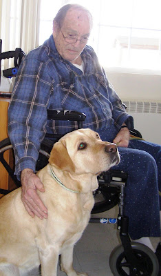 yellow Lab Hope beside man in wheelchair