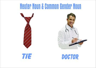 common gender noun and neuter noun