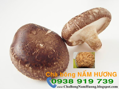 Vị thuốc hay từ nấm hương hay còn gọi là nấm đông cô