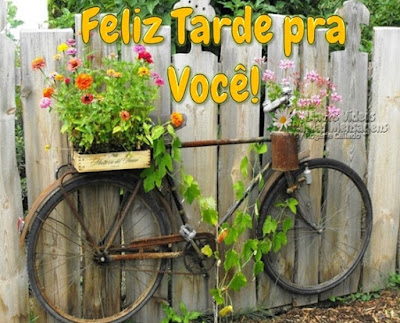 Feliz Tarde pra Você!