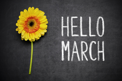 Best Happy New Month Messages, Wishes and Sayings for the Month of March