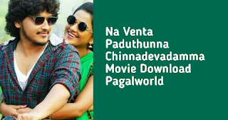 Na Venta Paduthunna Chinnadevadamma Movie Download Pagalworld
