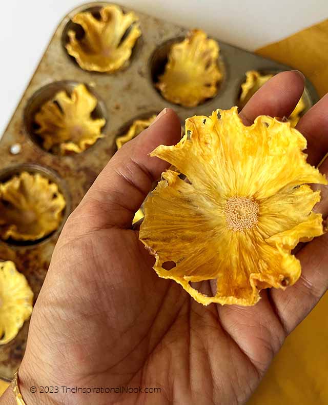 Holding a dried pineapple flower
