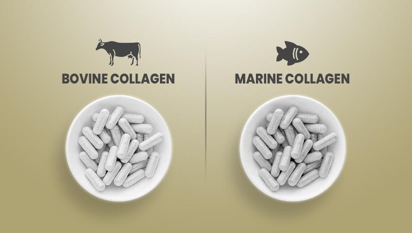 Bovine and Marine Collagen Peptides Capsules